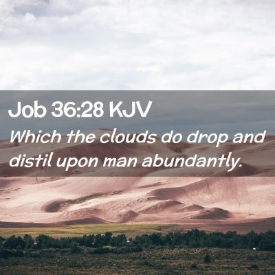 Job 36:28 KJV Free Bible Images