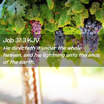 Job 37:3 KJV Free Bible Images