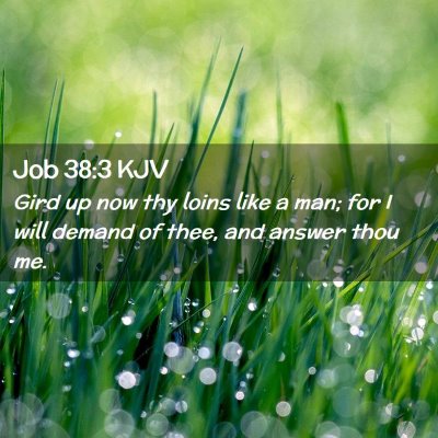 Job 38:3 KJV Free Bible Images