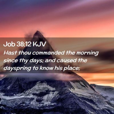 Job 38:12 KJV Free Bible Images