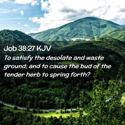 Job 38:27 KJV Free Bible Images