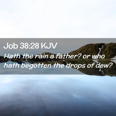 Job 38:28 KJV Free Bible Images