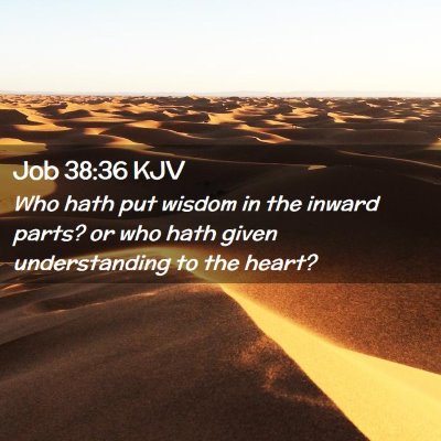 Job 38:36 KJV Free Bible Images