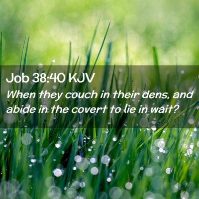 Job 38:40 KJV Free Bible Images