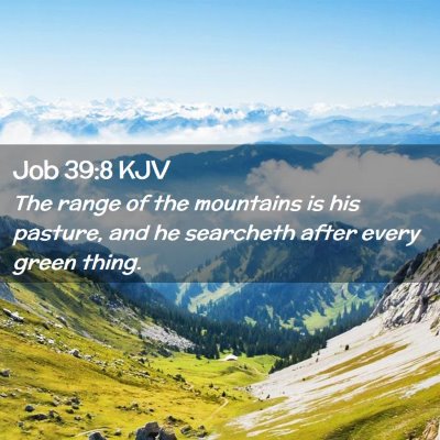 Job 39:8 KJV Free Bible Images