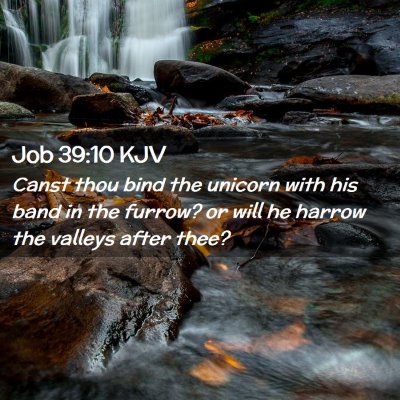 Job 39:10 KJV Free Bible Images