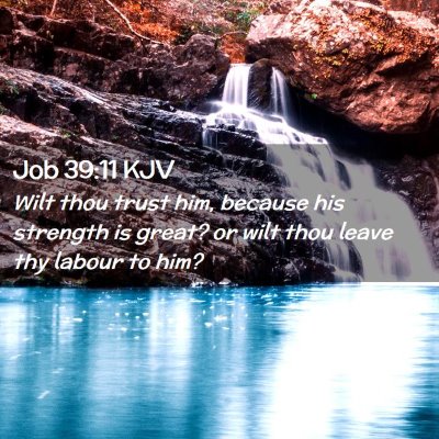 Job 39:11 KJV Free Bible Images