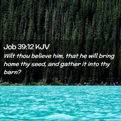 Job 39:12 KJV Free Bible Images