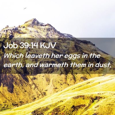 Job 39:14 KJV Free Bible Images