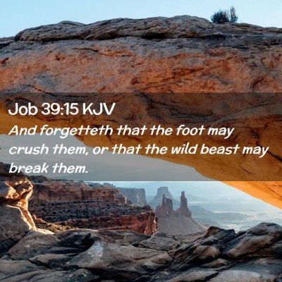 Job 39:15 KJV Free Bible Images