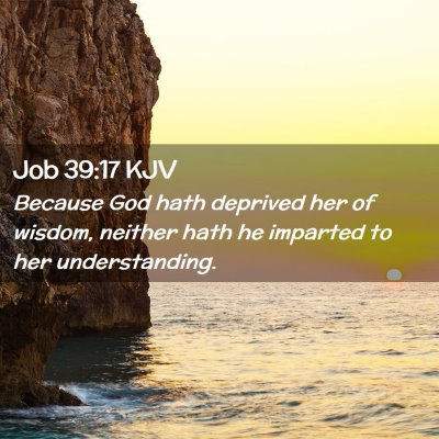 Job 39:17 KJV Free Bible Images