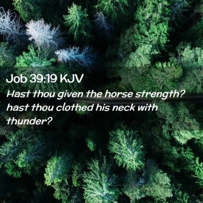 Job 39:19 KJV Free Bible Images