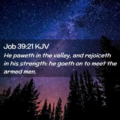 Job 39:21 KJV Free Bible Images