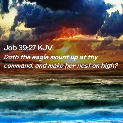 Job 39:27 KJV Free Bible Images