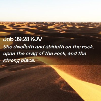 Job 39:28 KJV Free Bible Images