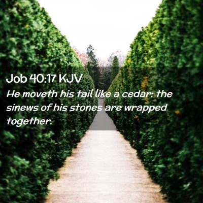 Job 40:17 KJV Free Bible Images