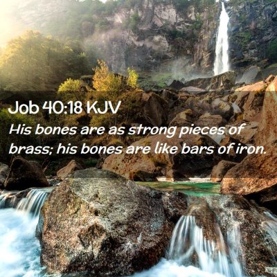 Job 40:18 KJV Free Bible Images