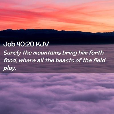 Job 40:20 KJV Free Bible Images