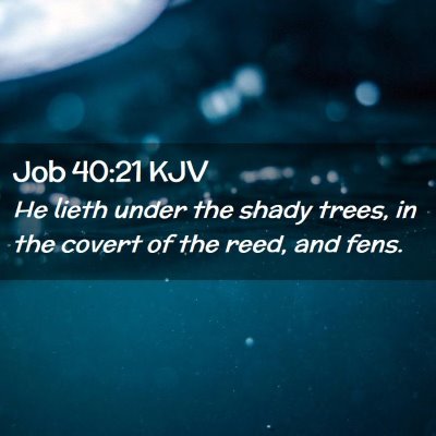 Job 40:21 KJV Free Bible Images