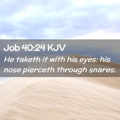 Job 40:24 KJV Free Bible Images