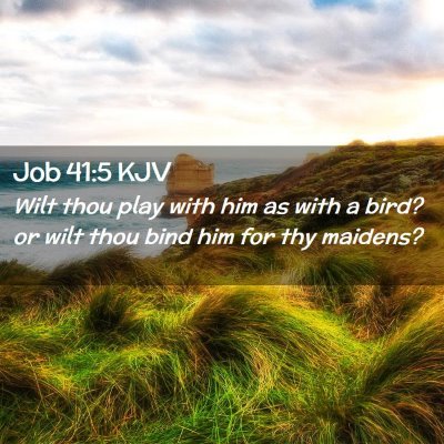 Job 41:5 KJV Free Bible Images