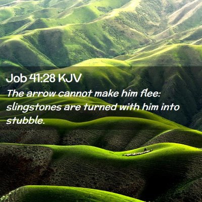 Job 41:28 KJV Free Bible Images