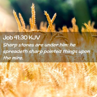 Job 41:30 KJV Free Bible Images