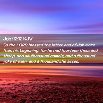 Job 42:12 KJV Free Bible Images