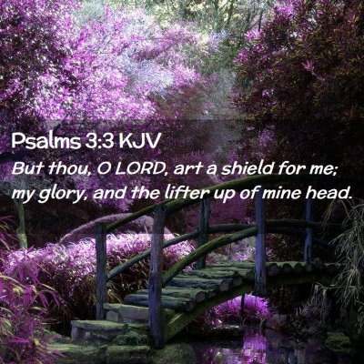 Psalms 3:3 KJV Free Bible Images