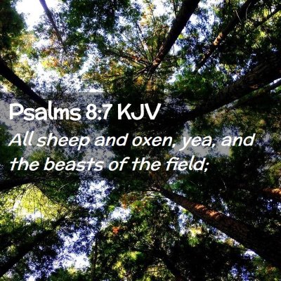 Psalms 8:7 KJV Free Bible Images