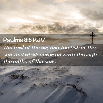 Psalms 8:8 KJV Free Bible Images