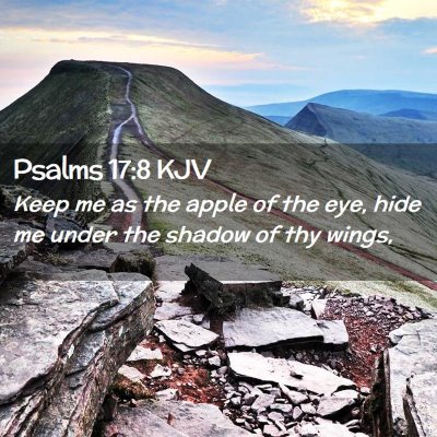 Psalms 17:8 KJV Free Bible Images