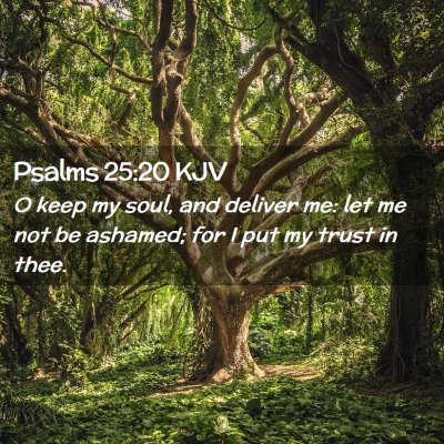 Psalms 25:20 KJV Free Bible Images