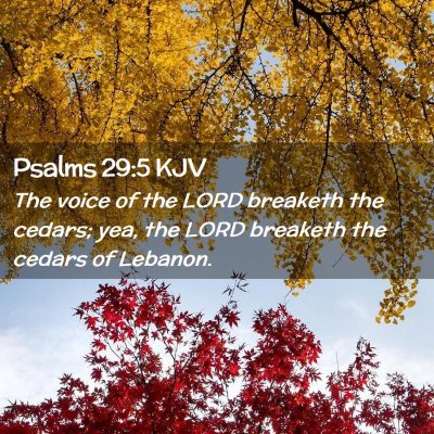 Psalms 29:5 KJV Free Bible Images