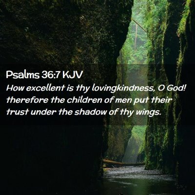 Psalms 36:7 KJV Free Bible Images