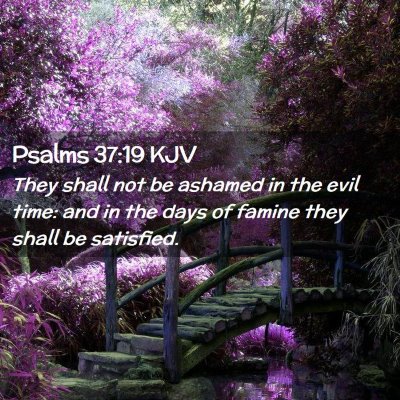 Psalms 37:19 KJV Free Bible Images