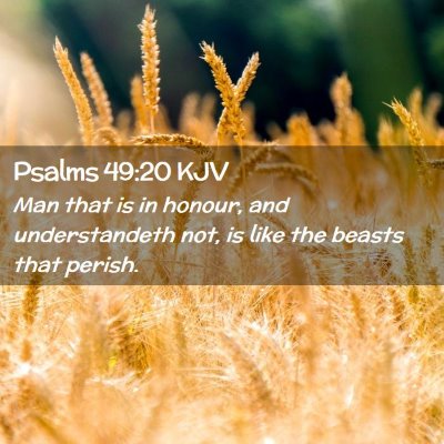 Psalms 49:20 KJV Free Bible Images