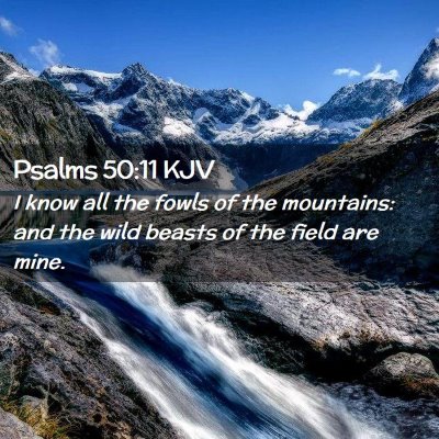 Psalms 50:11 KJV Free Bible Images