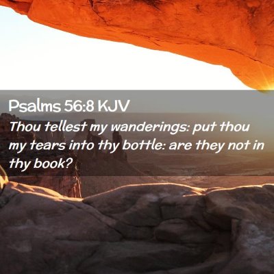 Psalms 56:8 KJV Free Bible Images