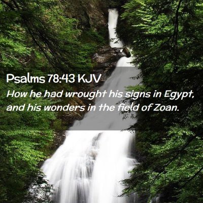 Psalms 78:43 KJV Free Bible Images