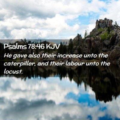 Psalms 78:46 KJV Free Bible Images