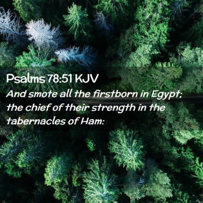 Psalms 78:51 KJV Free Bible Images