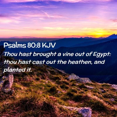 Psalms 80:8 KJV Free Bible Images