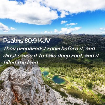 Psalms 80:9 KJV Free Bible Images