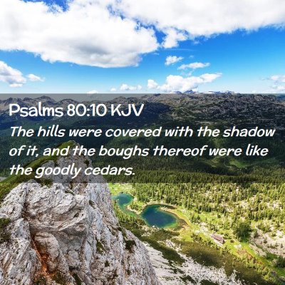 Psalms 80:10 KJV Free Bible Images