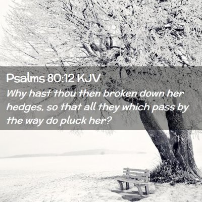 Psalms 80:12 KJV Free Bible Images