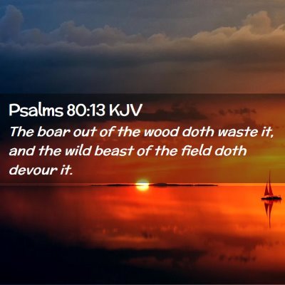 Psalms 80:13 KJV Free Bible Images