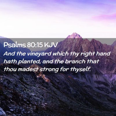 Psalms 80:15 KJV Free Bible Images