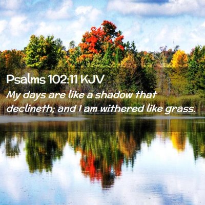 Psalms 102:11 KJV Free Bible Images