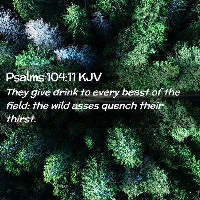 Psalms 104:11 KJV Free Bible Images